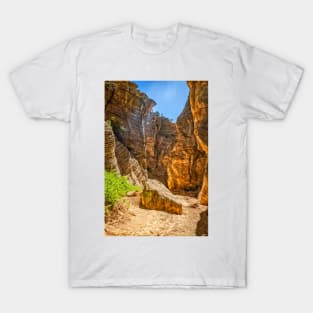 Lick Wash Trail Hike T-Shirt